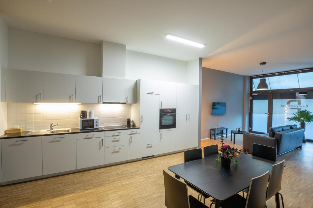 Proapartment Bázel Kültér fotó